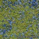 MP-117 meadow blend: spring green with blue flowers
