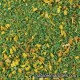 MP-132 meadow blend: spring green with yellow flowers