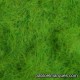 C-402 static grass: light green