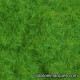 C-403 static grass: medium light green