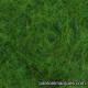 C-404 static grass: medium green