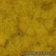 C-409 static grass:  golden yellow