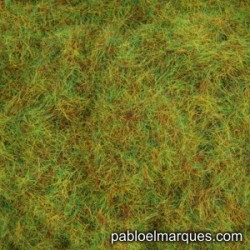 C-420 static grass: red green