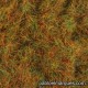 C-422 static grass: Green orange red