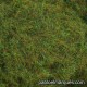 C-423 static grass: green