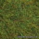 C-423 static grass: green