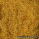C-451 static grass: orange dark straw