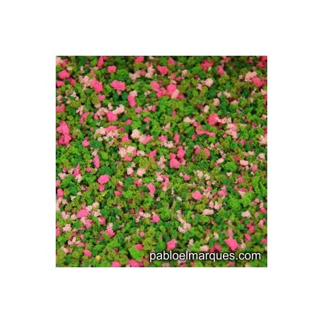 J-03 Garden: pink flowers