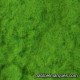 C-201 static grass: light green